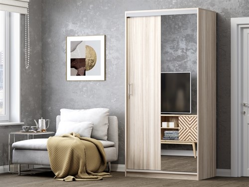 Шкаф-купе Альянс 1,0 м 2198