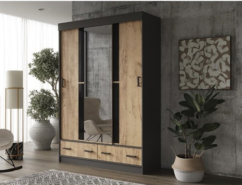 Шкаф-купе Альянс-5 2201